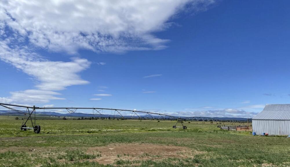 Pine Hollow Development - Farm