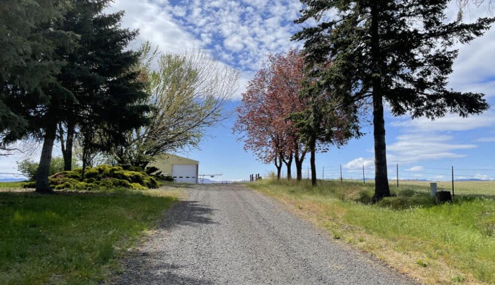 Pine Hollow Development - Farm