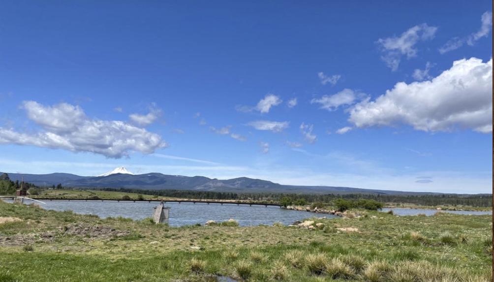 Pine Hollow Development - Farm