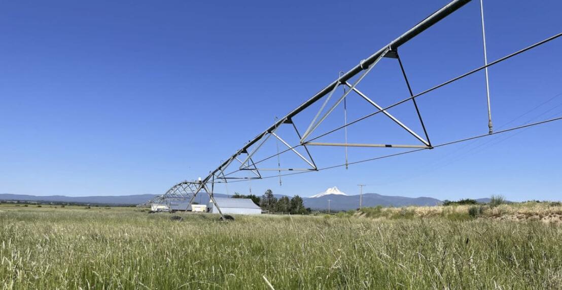 Pine Hollow Development - Farm