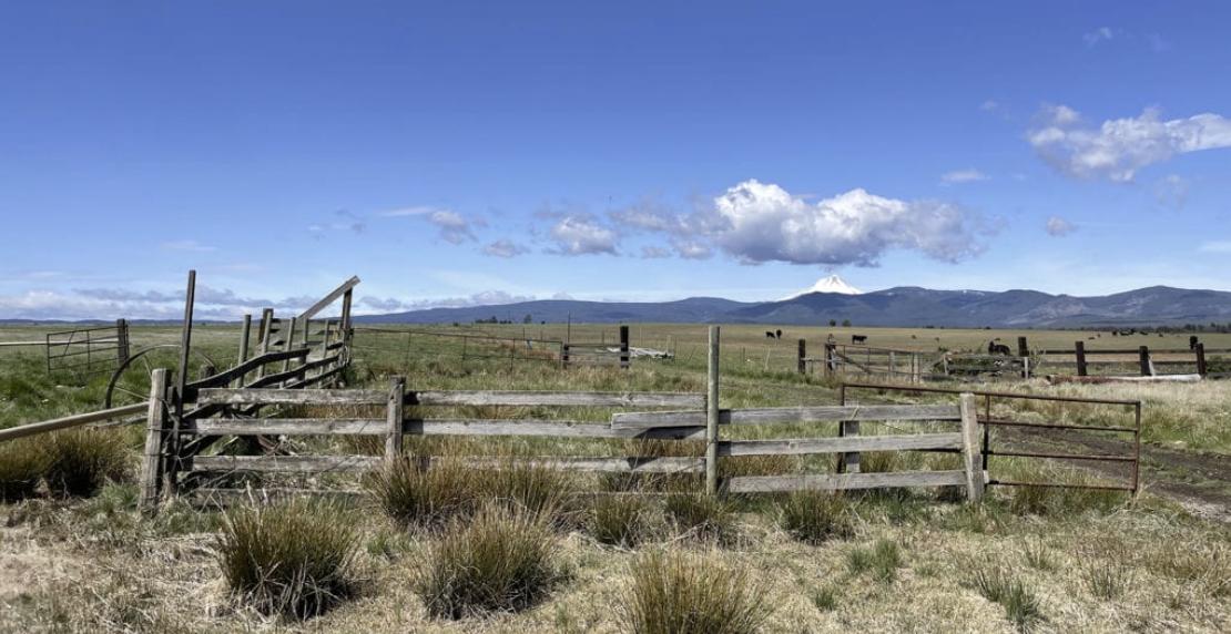 Pine Hollow Development - Farm