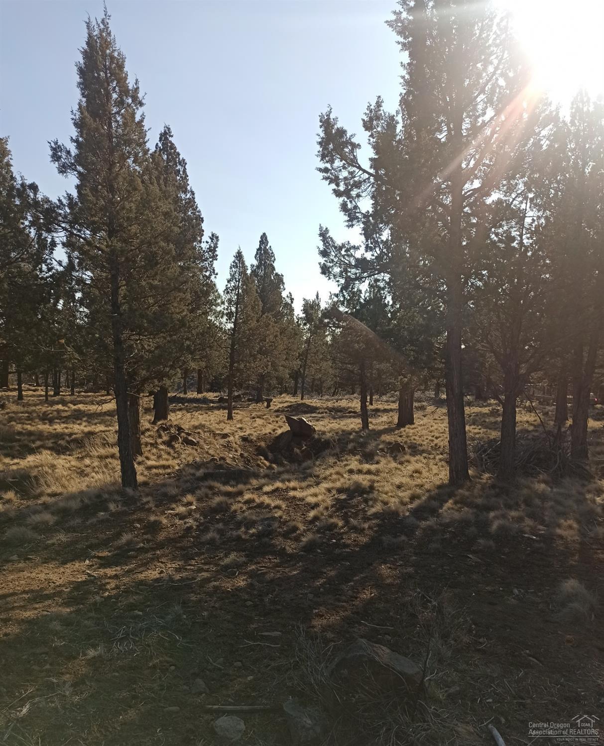 Squaw Creek Canyon - Land