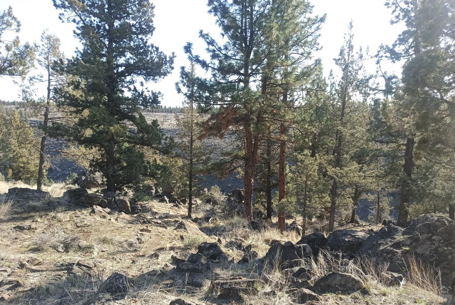 Squaw Creek Canyon - Land