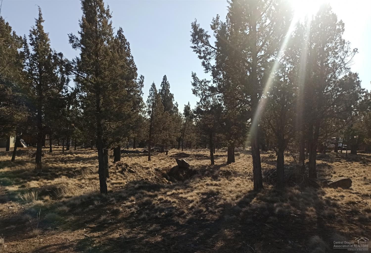 Squaw Creek Canyon - Land