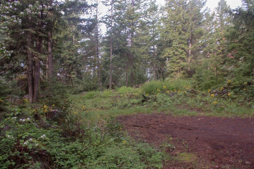 This is a rare find in Rocky Point: A home site (0.56 Acres) with a well and septic already installed! The lot is gently sloped providing a beautiful view of the Rocky Point area. A perfect home base for exploring the 15,000 acres of the Upper Klamath Wildlife Refuge. Use this as a staging area for your kayaks and canoes. Just up the road is the beautiful Harriman Springs Resort offering boat launching and safe moorage for your water craft. Further down the road Rocky Point Resort offers access to over 9 miles of canoe and kayak trails through a dramatic mixture of marsh, open lake and forest. Whether it is zip-lining, boating, fishing or birding start your adventure here! This is near the Upper Klamath Lake that offers boating, kayaking, canoeing, trophy trout fishing and all kinds of wildlife. The main access road (Rocky Point Road) is open year round. Buyer to do their own due-diligence on building options.