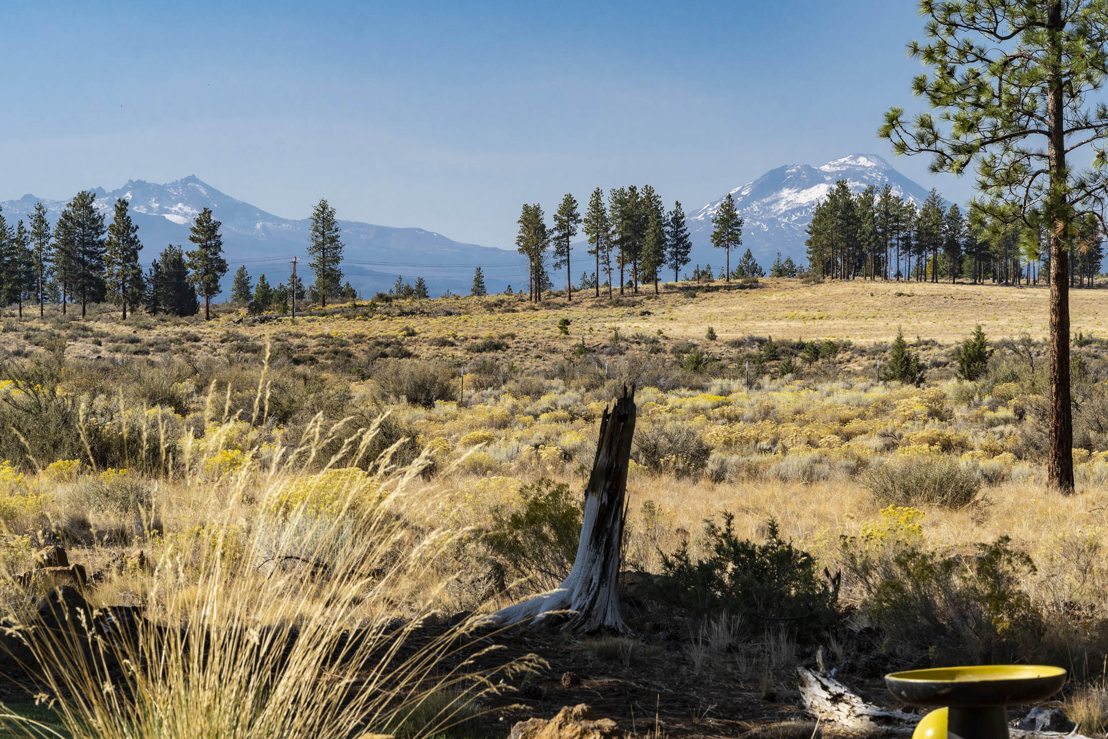 Lynwood Acres - Residential