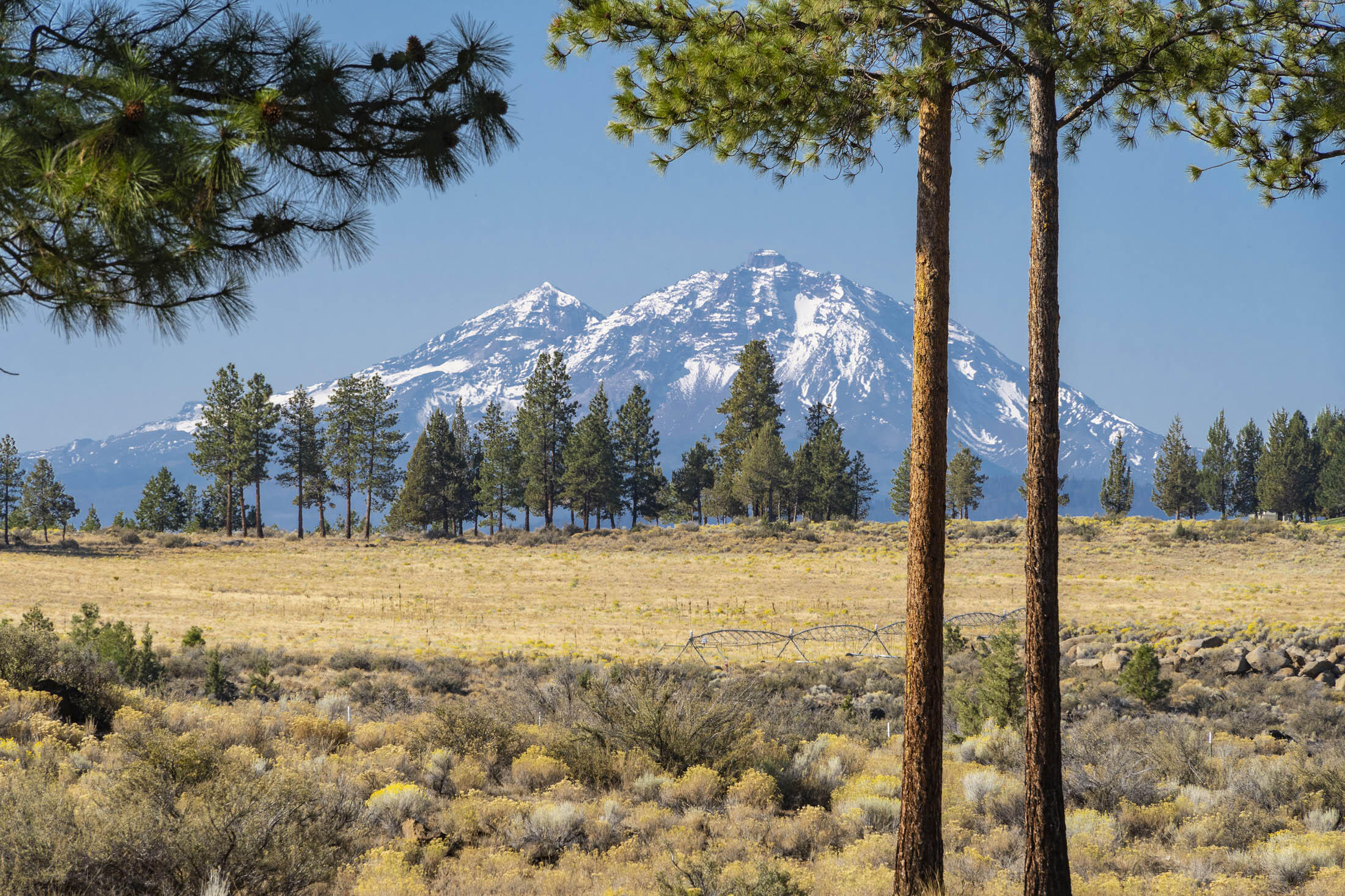 Lynwood Acres - Residential