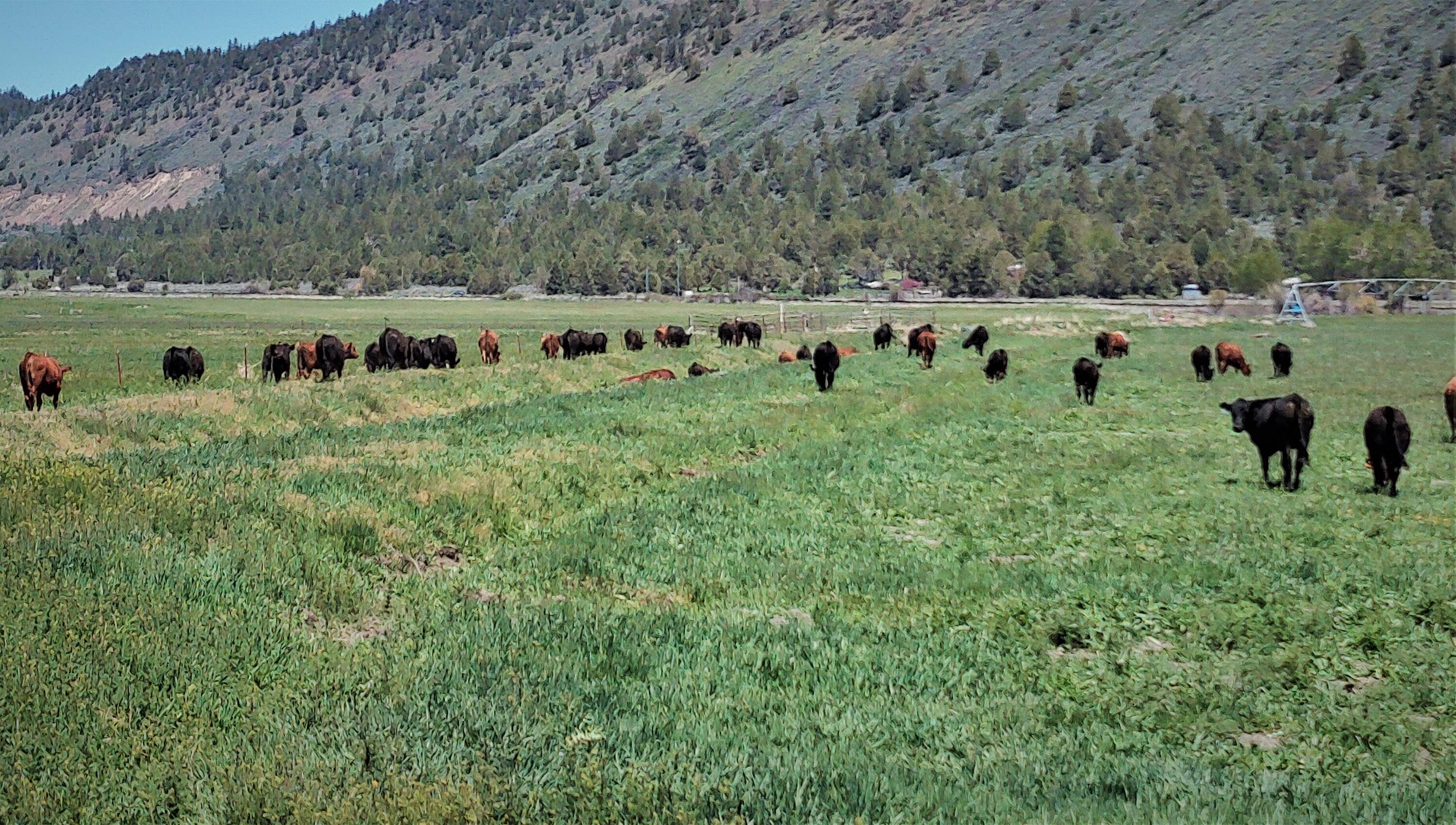 Klamath Country - Land