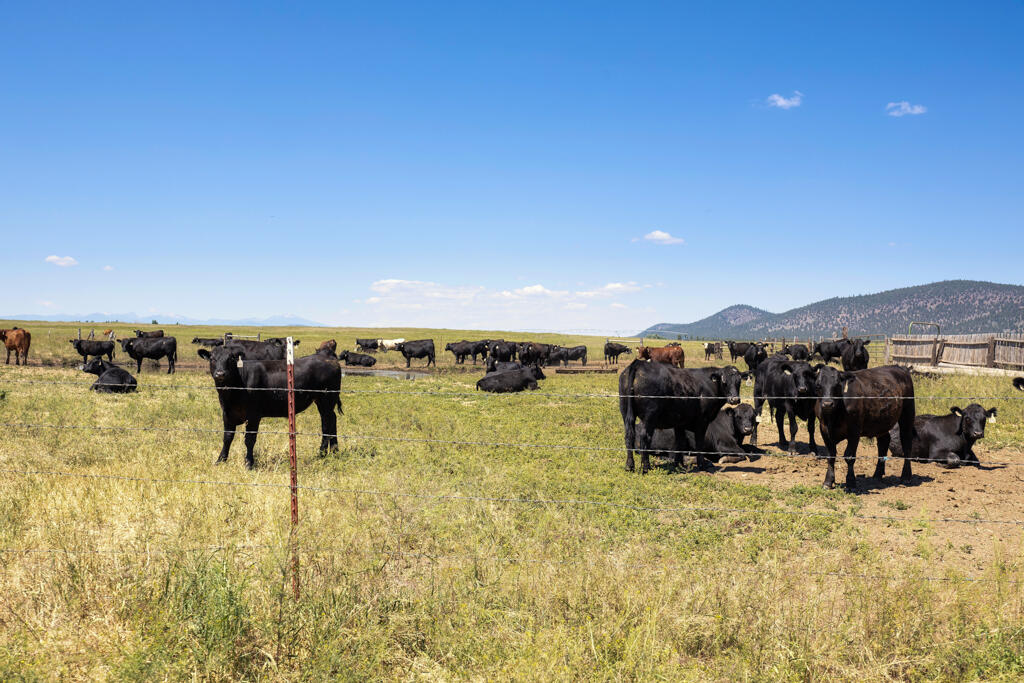 Klamath Country - Land