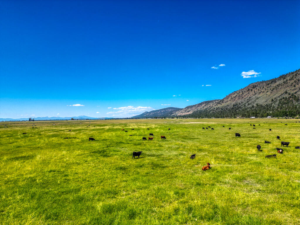 Klamath Country - Land