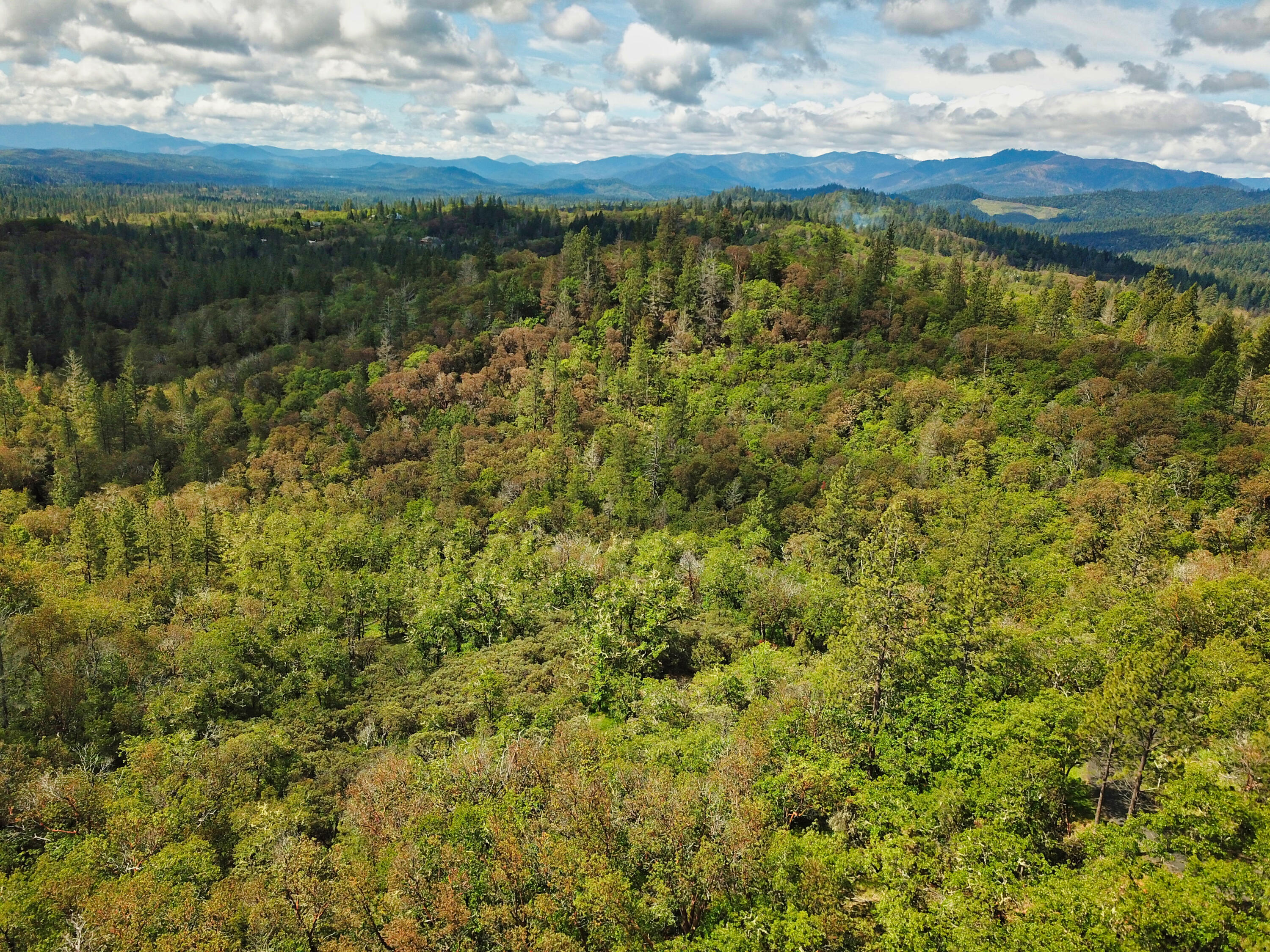 Hugo Estates Unrecored Subdivision - Land