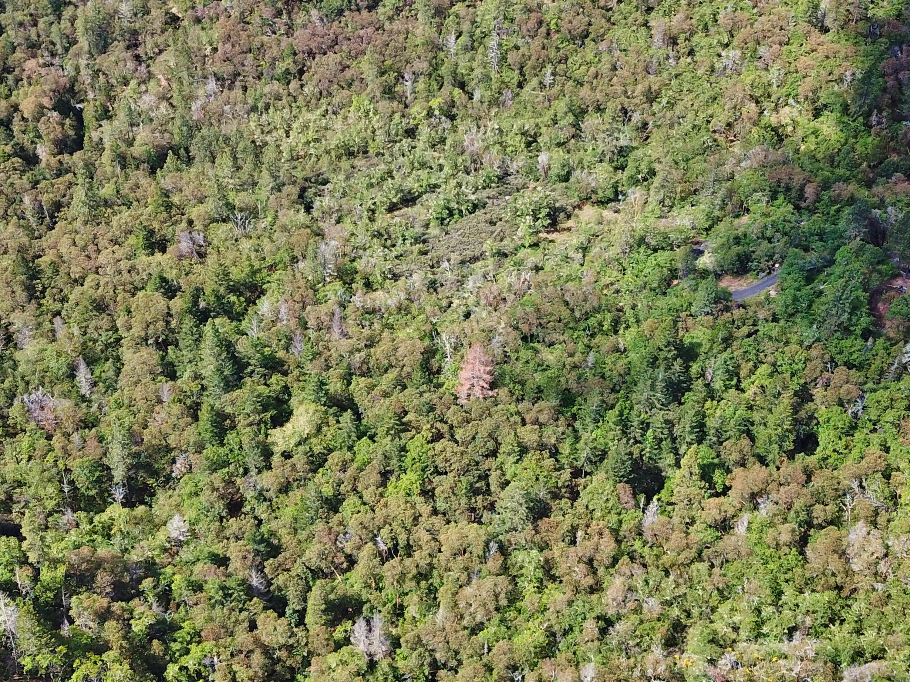Hugo Estates Unrecored Subdivision - Land