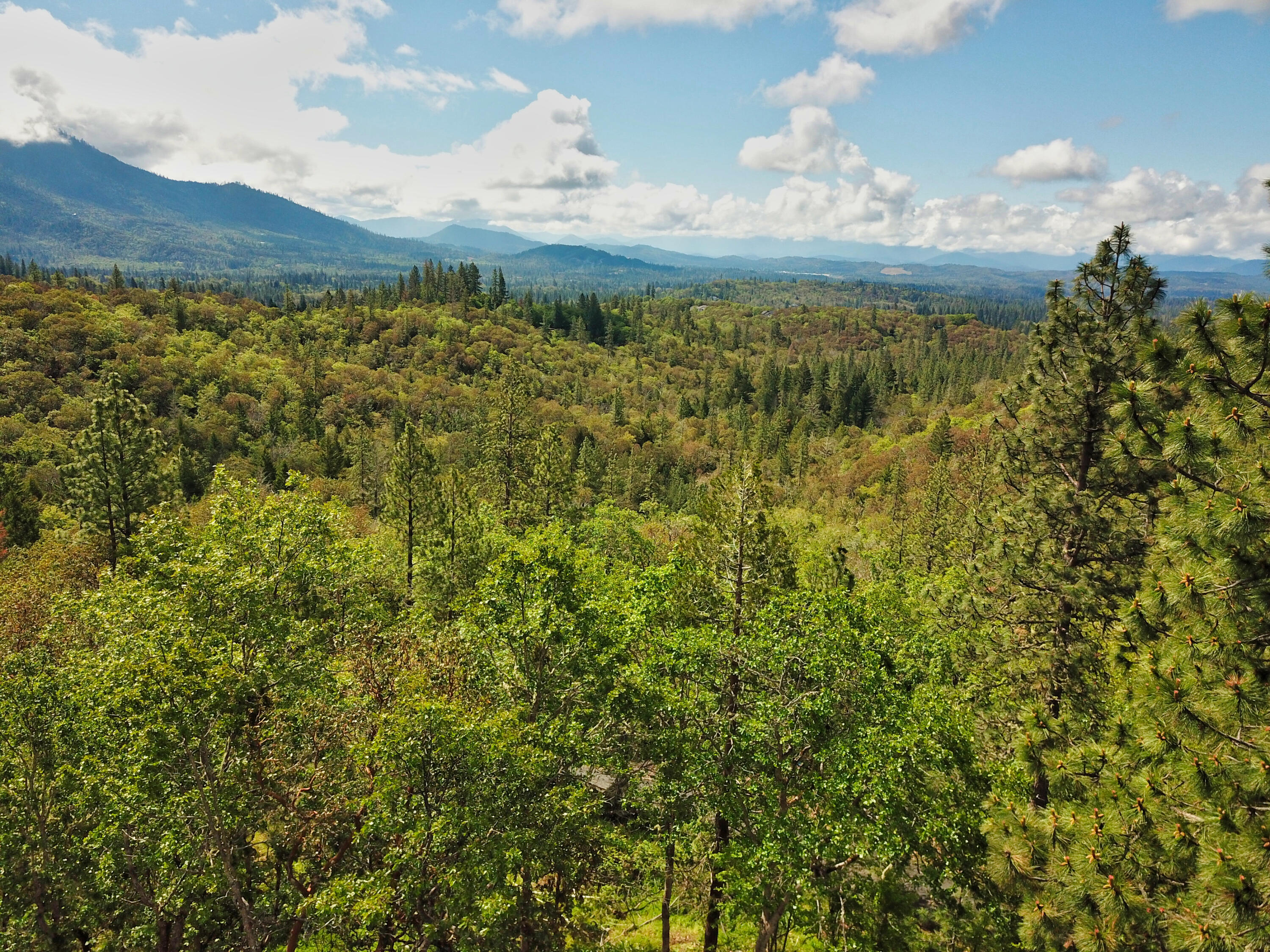 Hugo Estates Unrecored Subdivision - Land