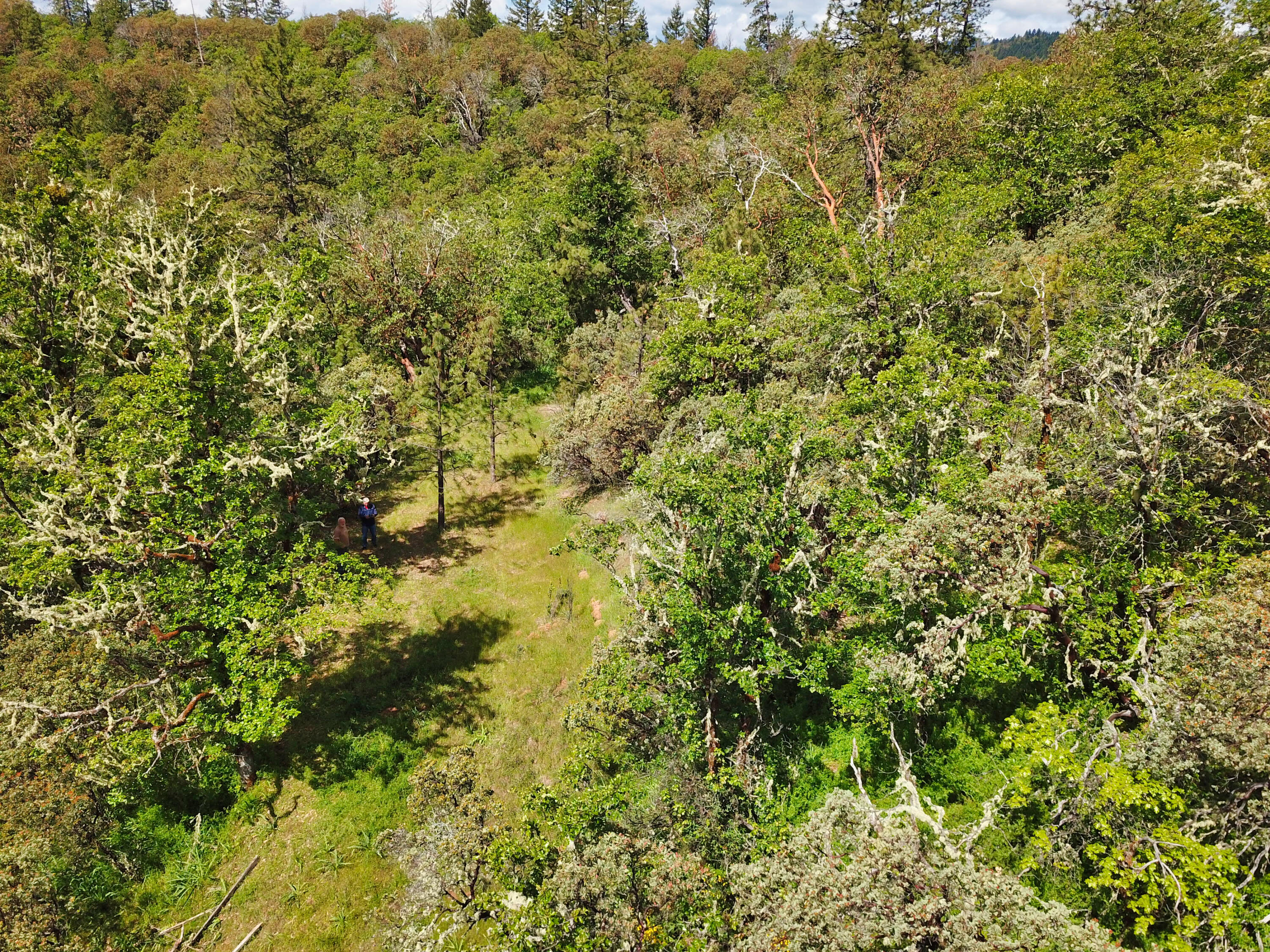 Hugo Estates Unrecored Subdivision - Land