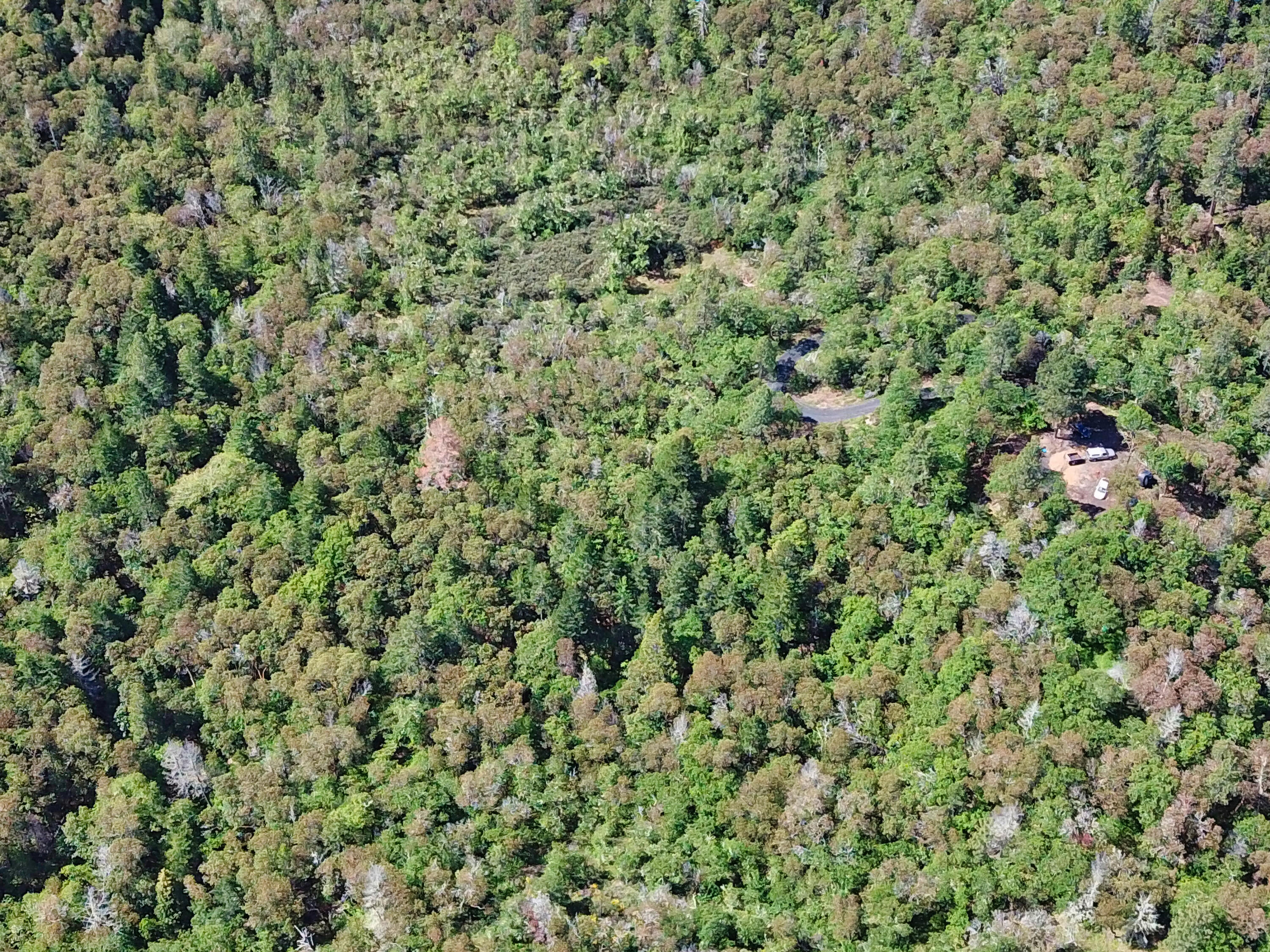 Hugo Estates Unrecored Subdivision - Land