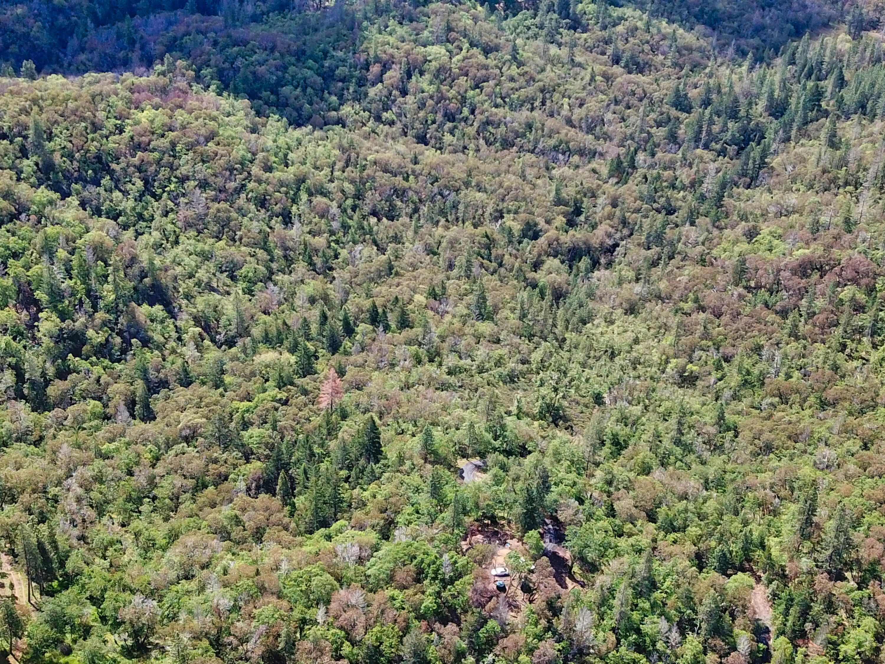 Hugo Estates Unrecored Subdivision - Land