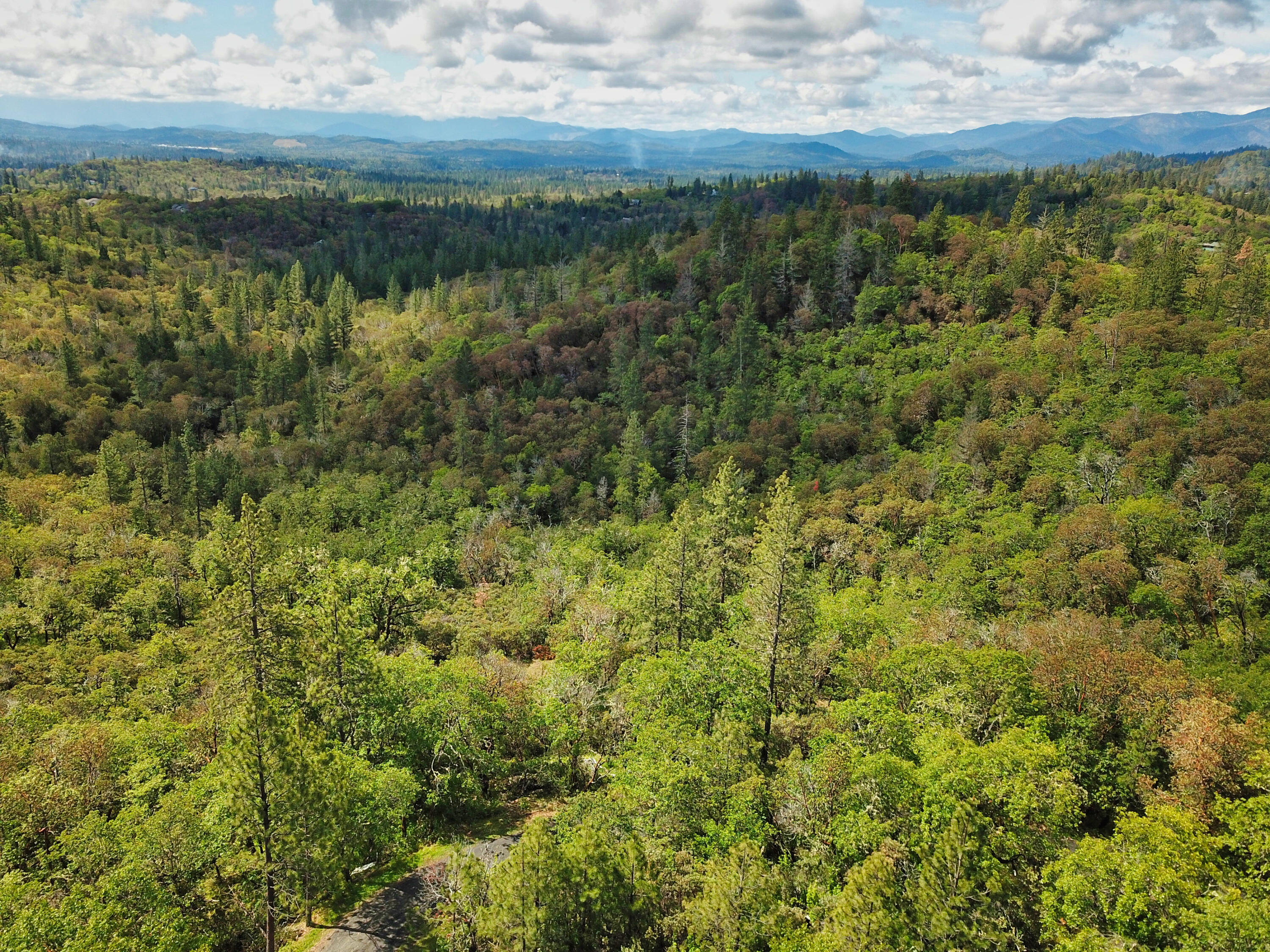 Hugo Estates Unrecored Subdivision - Land