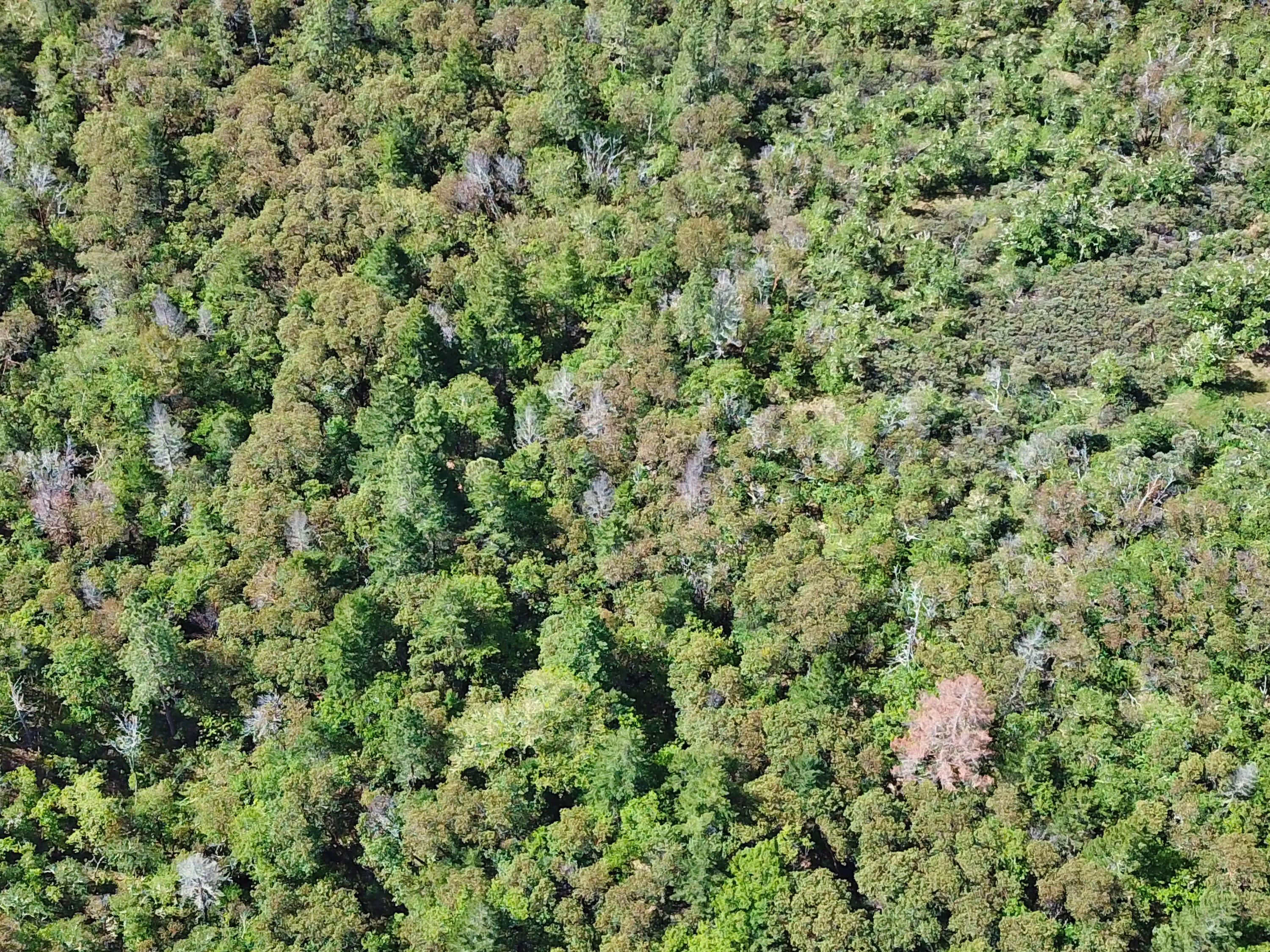 Hugo Estates Unrecored Subdivision - Land