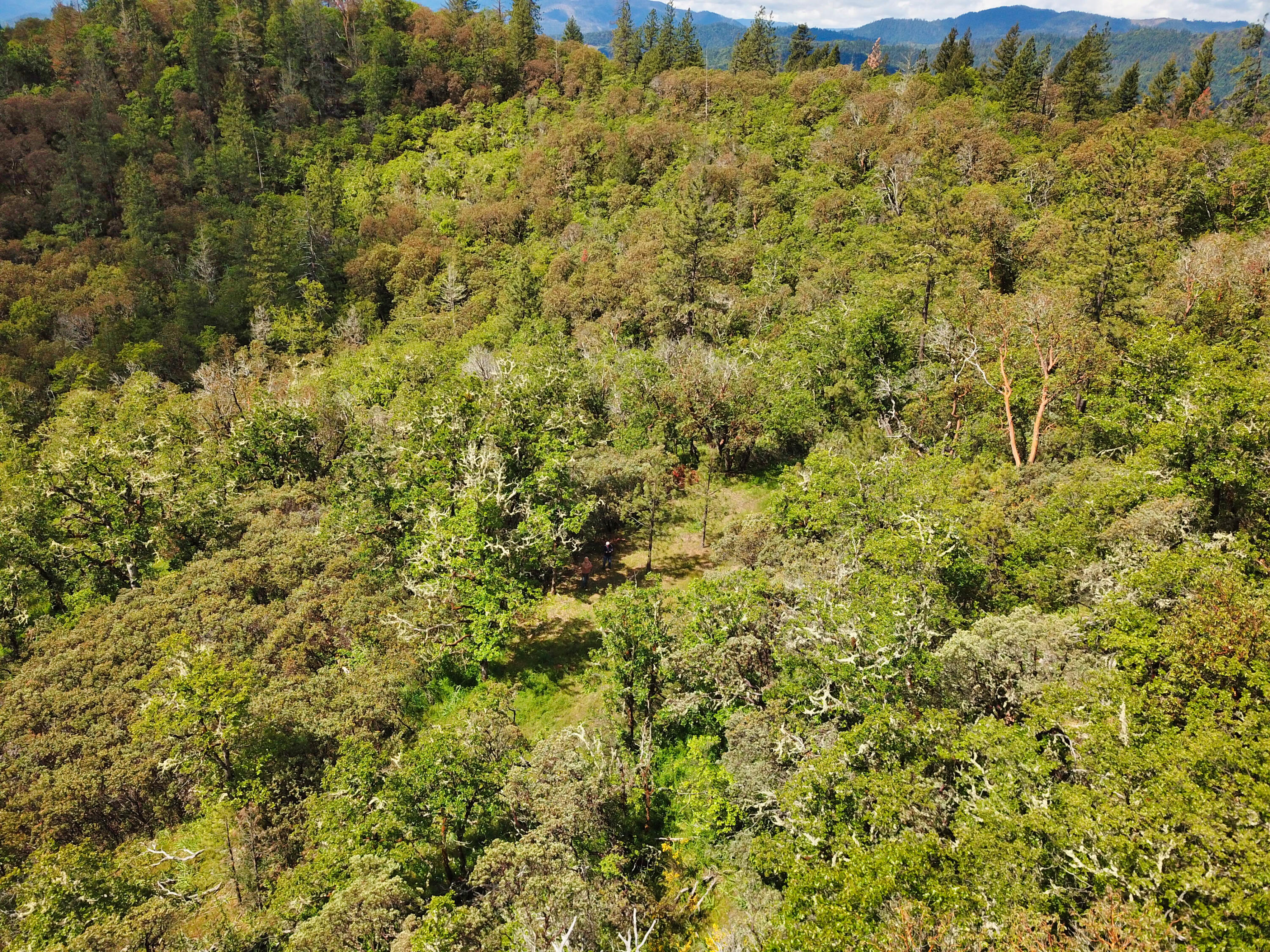 Hugo Estates Unrecored Subdivision - Land