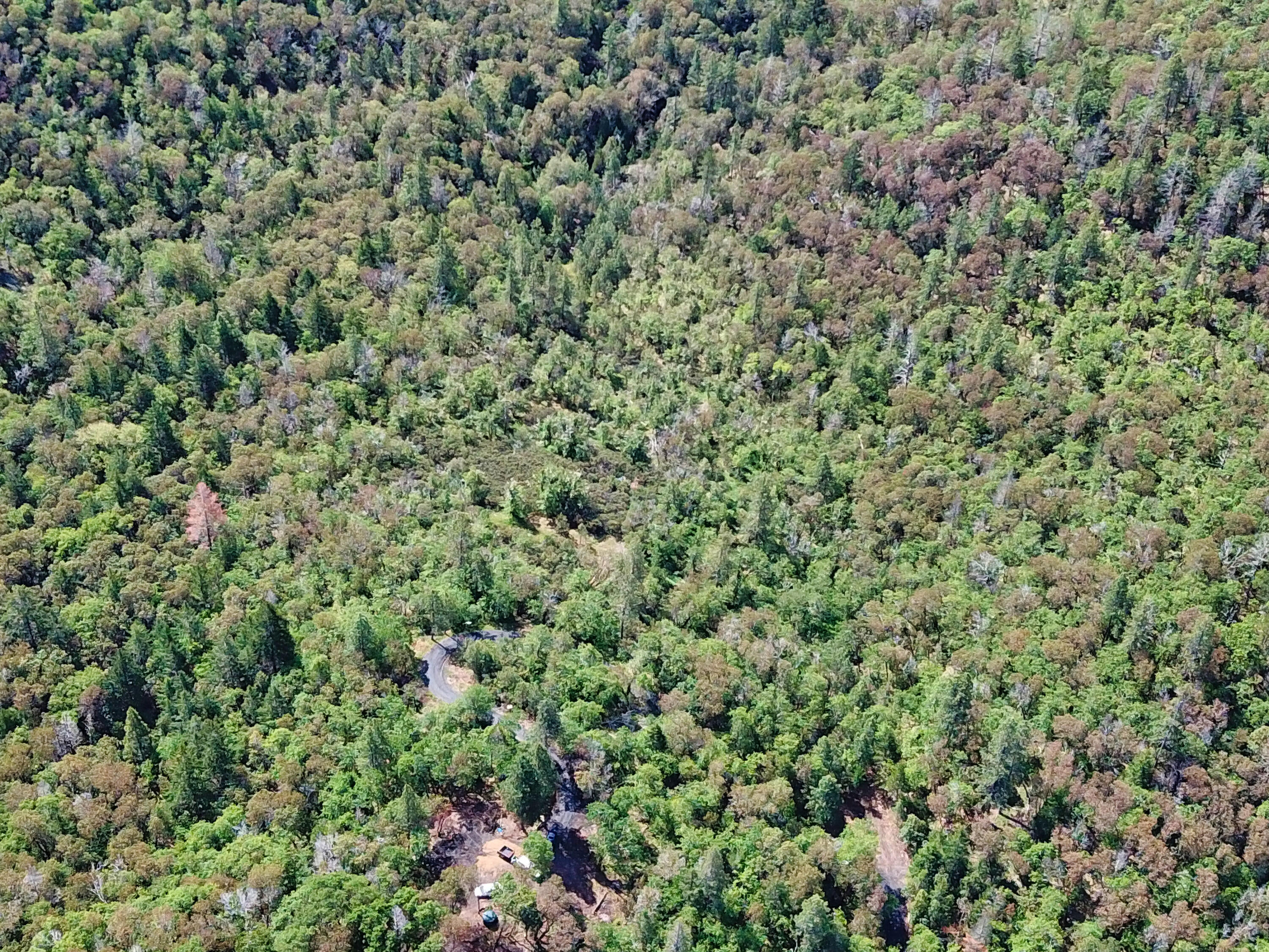 Hugo Estates Unrecored Subdivision - Land
