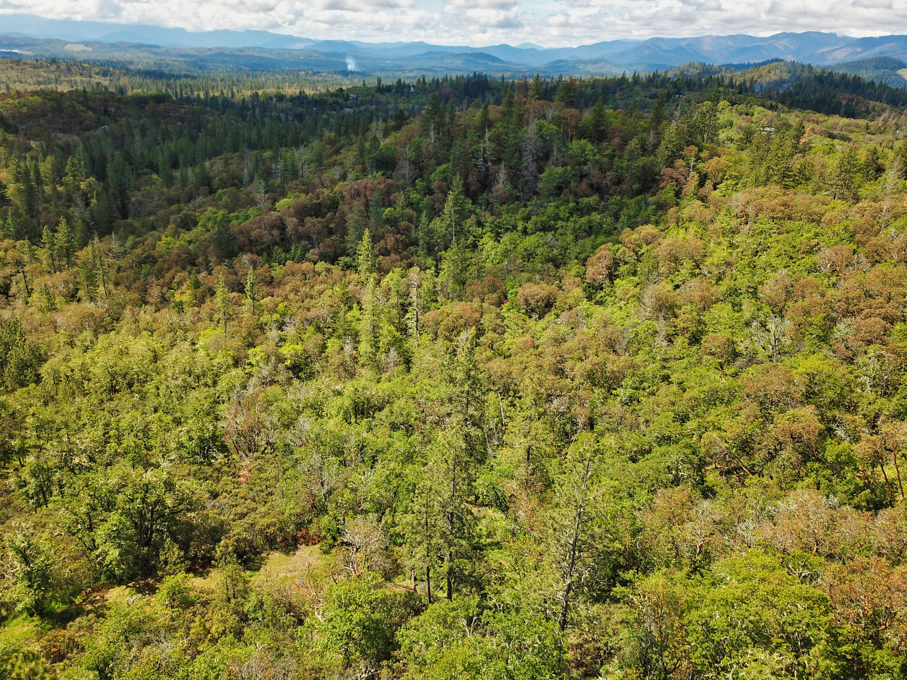 Hugo Estates Unrecored Subdivision - Land