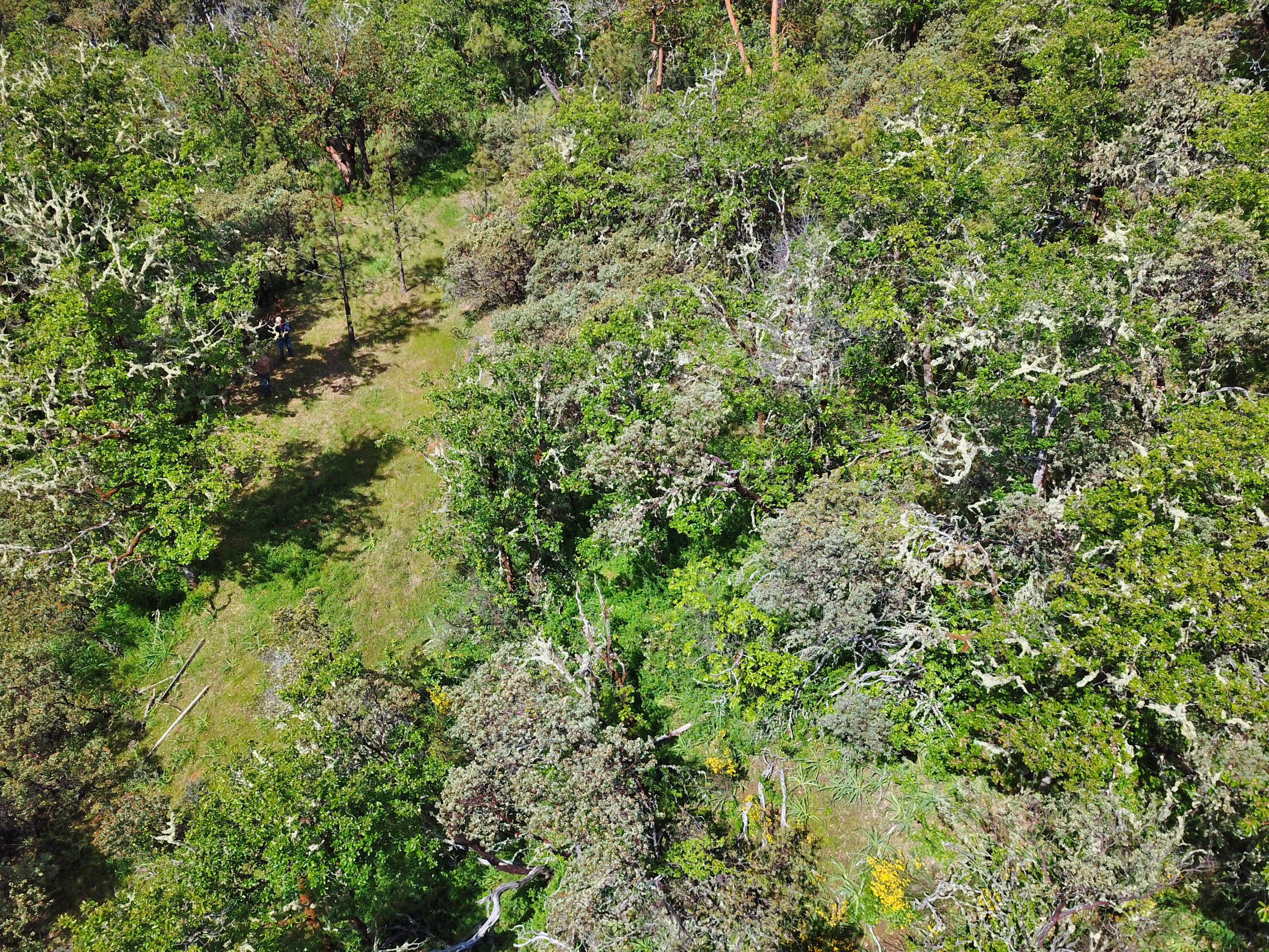 Hugo Estates Unrecored Subdivision - Land