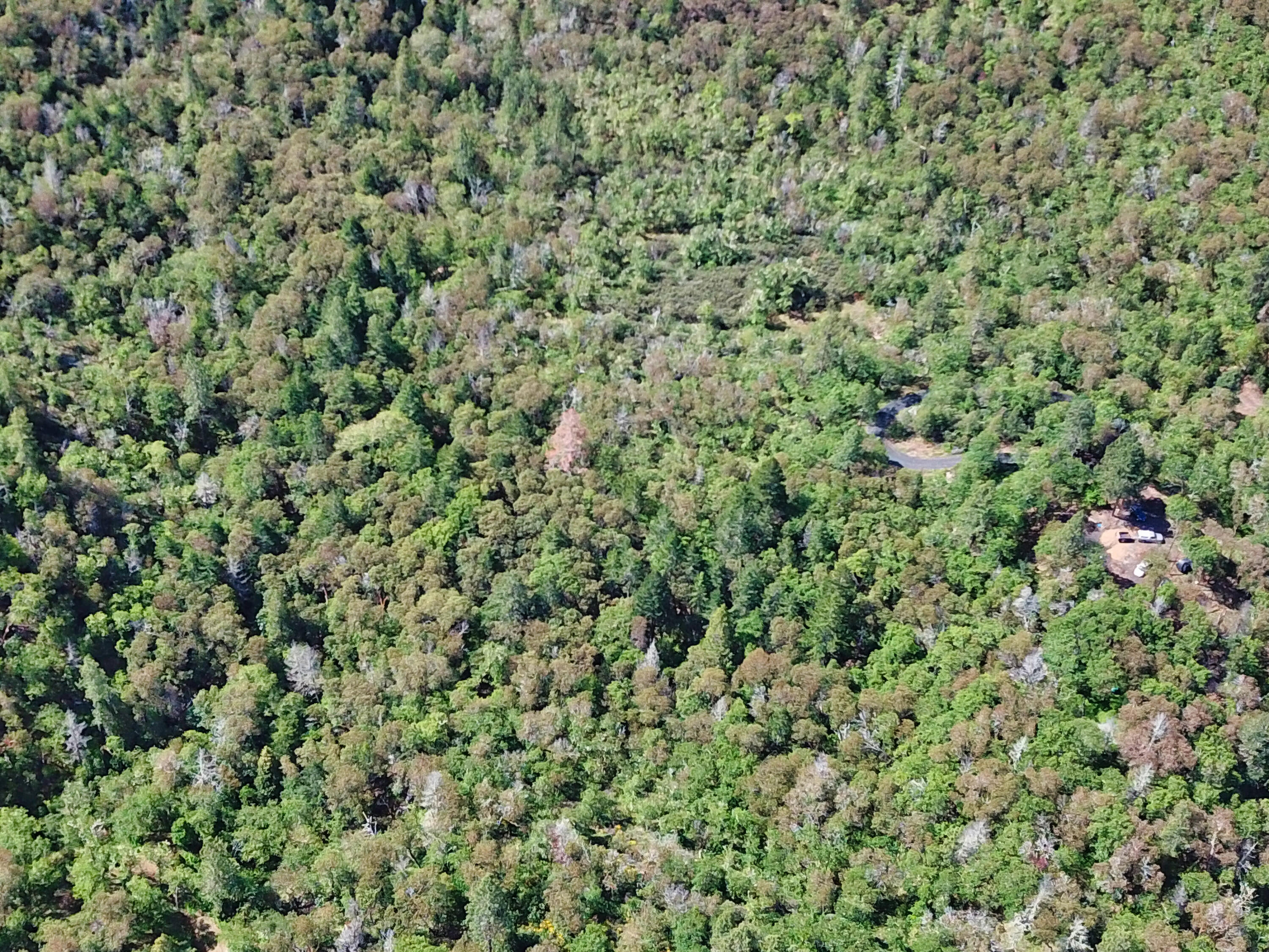Hugo Estates Unrecored Subdivision - Land