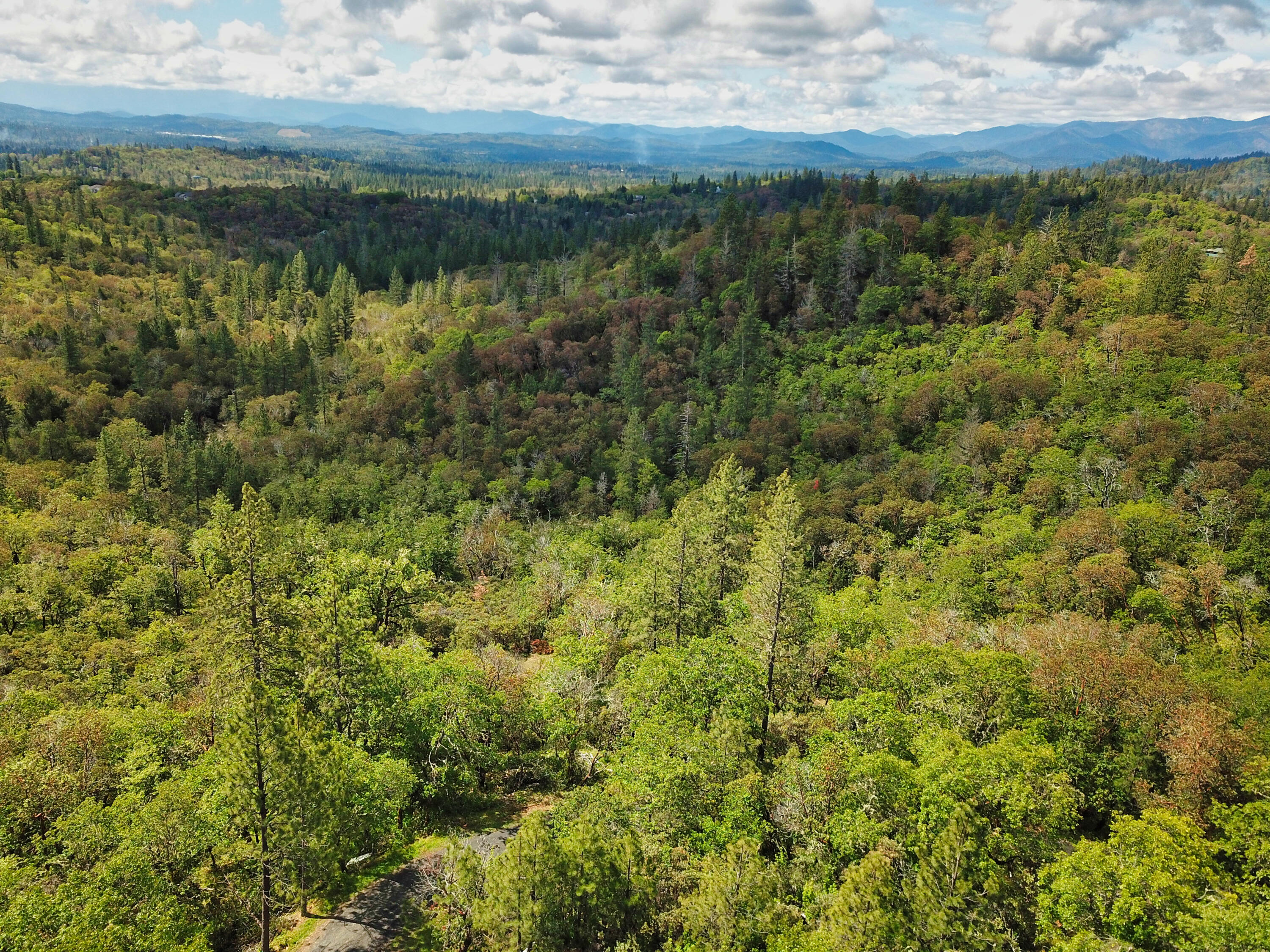 Hugo Estates Unrecored Subdivision - Land