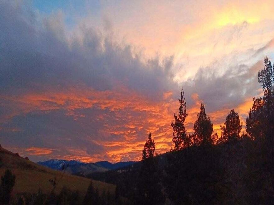 3 bedroom, 2 bath home on 5 acres in Mitchell, Oregon for sale! Wake up where others come to escape, just minutes from the Painted Hills and surrounded by the raw beauty of Eastern Oregon. This is more than a home; it's a launchpad for your next chapter. Stay full-time, create a retreat, or build an income-producing Hipcamp experience. Inside, a full second kitchen is perfect for canning, gathering, or cooking on warm summer nights. Outside, enjoy a half-acre garden, mature fruit trees, lush perennials, and a large, covered patio built for quiet evenings. Fenced areas support livestock, with a powered hen house and multiple coops. RV parking with dump, 220-wired machine shed, covered parking, and ample storage add versatility. Outbuildings are ready for guest cabin conversion, studio use, or short-term rental potential. Set along the Journey Through Time Scenic Byway, close to the John Day Fossil Beds, the John Day River, and endless high desert adventure.