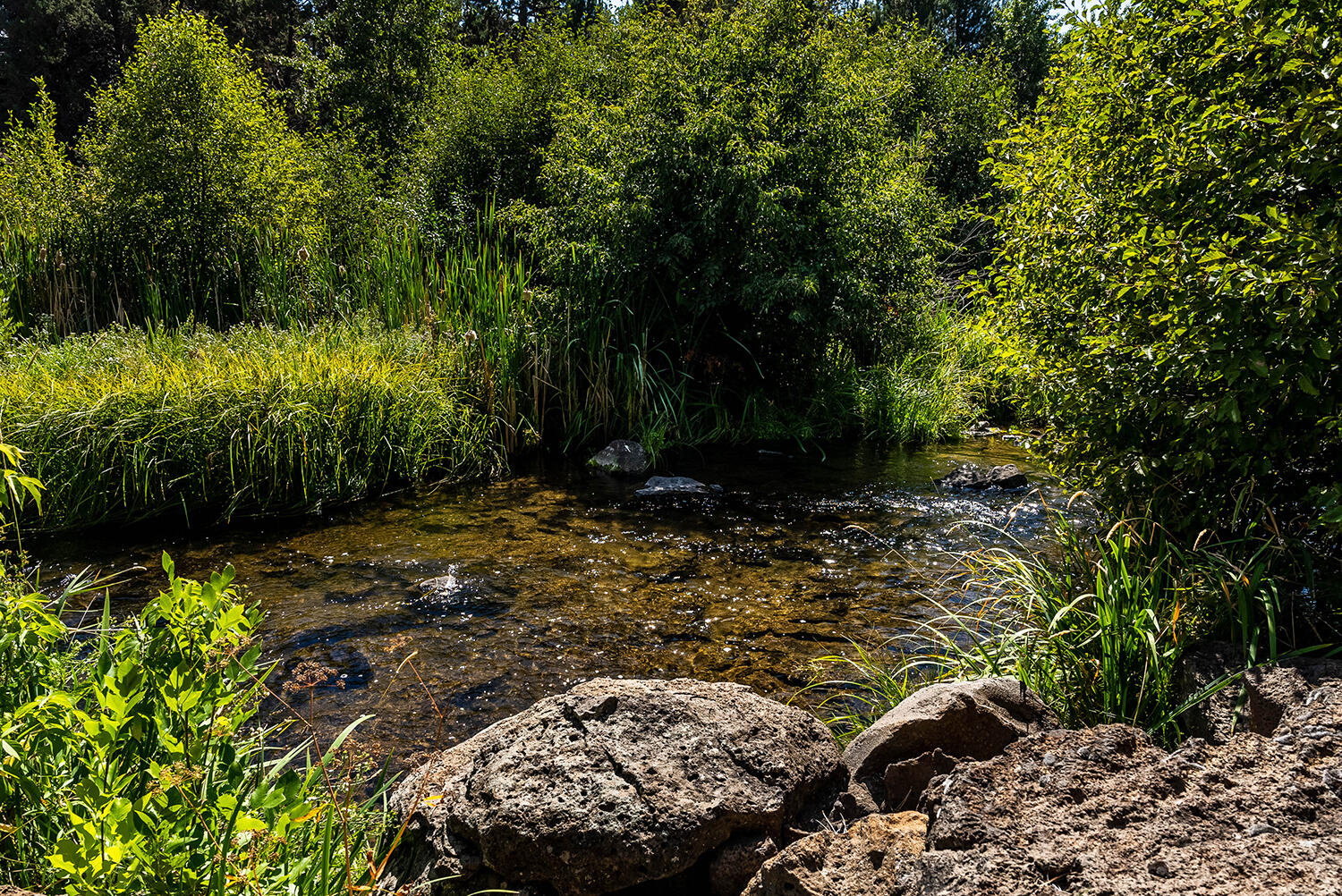Rimrock West - Residential