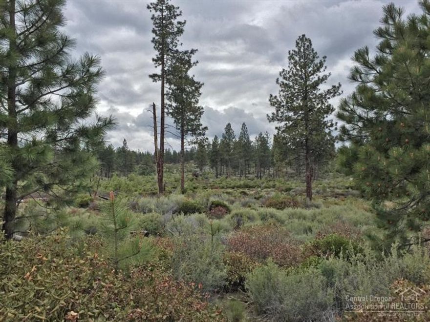 This home site backs directly to the western border of Tetherow and the endless hiking and biking in the national Forest. The ultimate base camp for enjoying the adventure that is Tetherow. Perfect for those who value privacy, views and seclusion over the golf course.