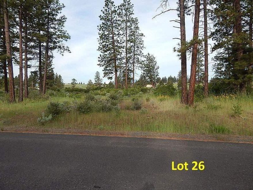 Please do NOT use this listing as a comp or indication of what the seller may take for any of his remaining lots. This is a special price for a 4H kid who is buying it with his own money!!! Naturally, his mom has to sign for it. Pine Meadow Village is Chiloquin's only rural subdivision with paved streets, standard septic approval underground utilities. 2+ acres each, these beautiful lots are grassy with plenty of gorgeous pines and native vegetation. Some lots have great views of Mt. McLaughlin and Pelican Butte. Site built homes only, this neighborhood is being populated with very nice, 1600+/- sf homes. Photos are of many of the lots on Brittany Way.