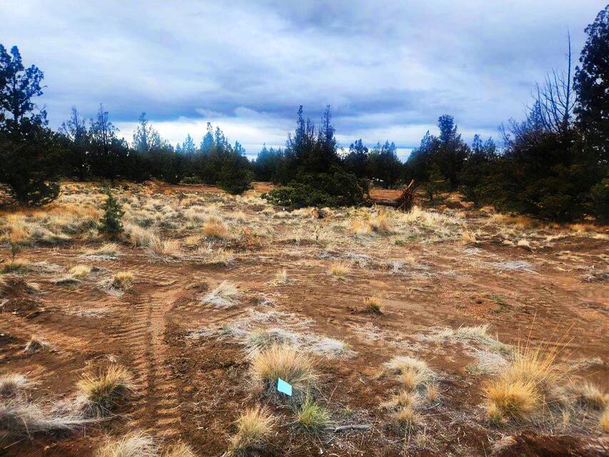 Prineville Lake Acres 2 - Land