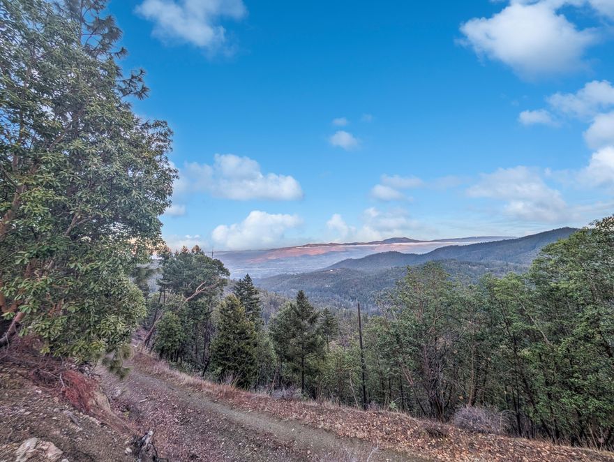 Owner carry 100k down 30 year amortization 3.99% due in 10. Ultra-Unique Vacant Parcel with Prior Home Site Approval! Picturesquely located in Medford's countryside, this 82.73-acre lot affords a wealth of possibilities for savvy investors and/or ambitious home buyers. Although most of the marketable timber has been harvested, the vast expanse of land still has towering trees and allows for future growth and potential. The lot was previously approved for a home site (not renewed), so you may grasp the opportunity for a serene and calm homestead. Explore the options of building a traditional log cabin, a modern getaway, or a mid-century inspired residence. Investors may even explore resort development. For those seeking a quick commute, Downtown Medford is only minutes away with conveniences, such as highly-rated restaurants, grocers, multiple parks, Rogue Valley Mall, Trader Joe's, Rogue Valley International Medford Airport, medical facilities, and golf courses.