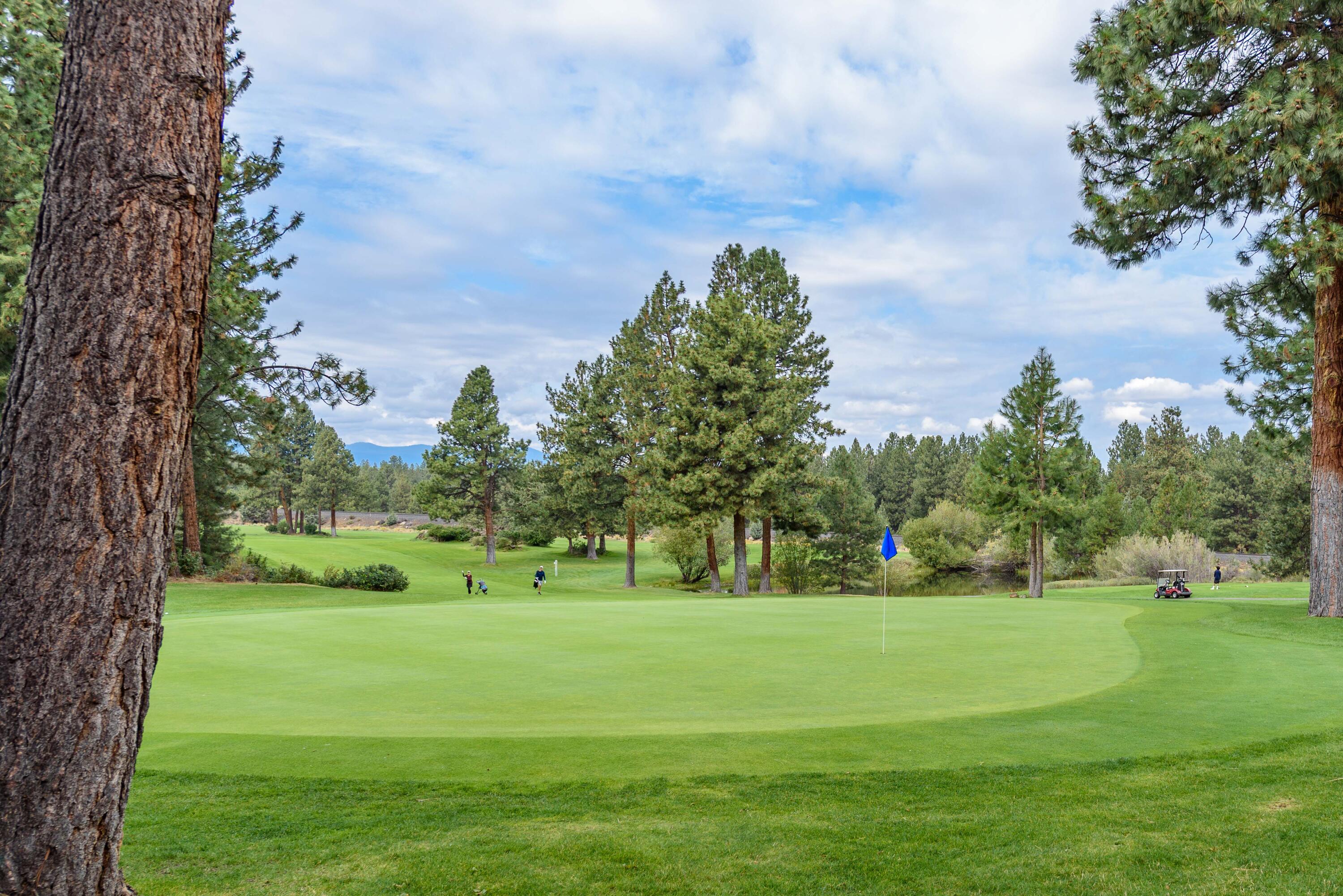 Mtn High - Residential