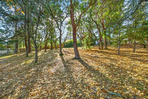 Photo of 961 Pinecrest Terrace, Ashland, OR 97520 (MLS # 220212271)