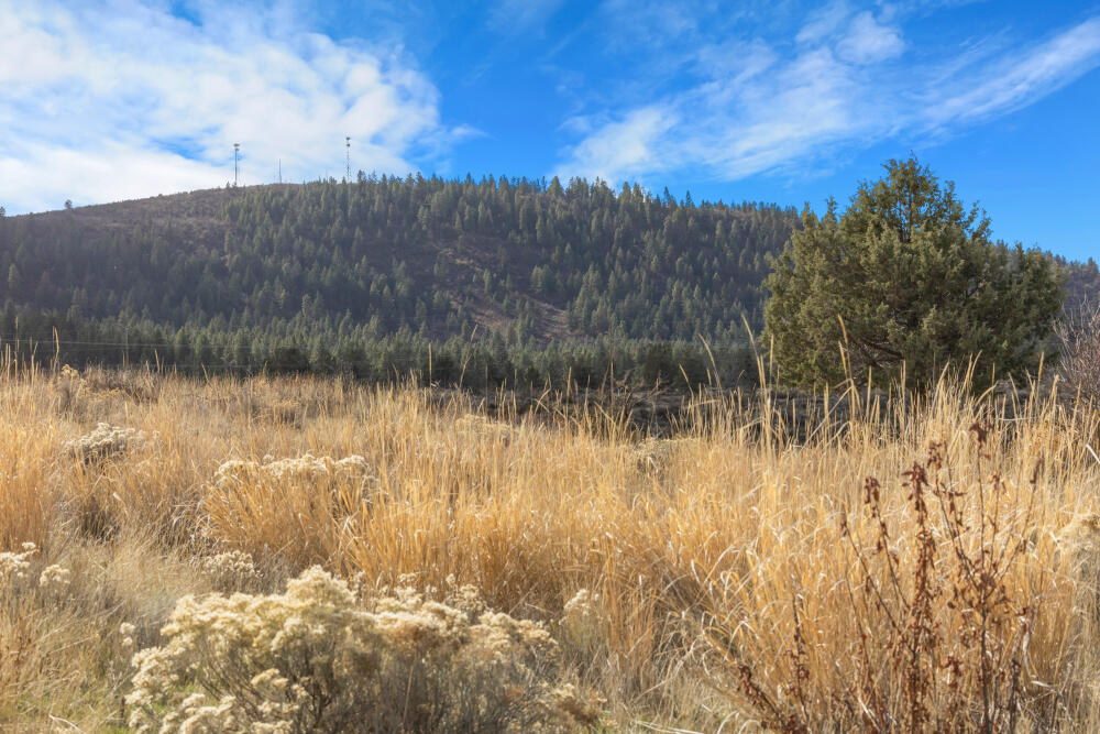 Link River Estates - Land