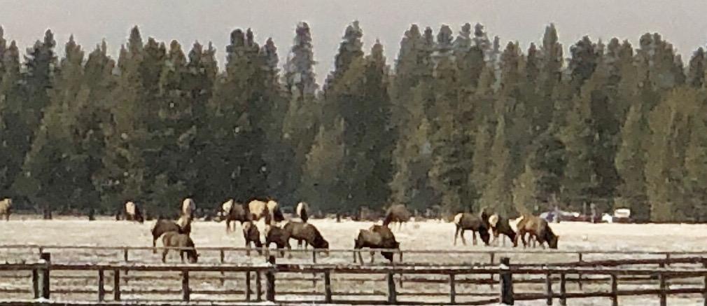Lazy River - Residential
