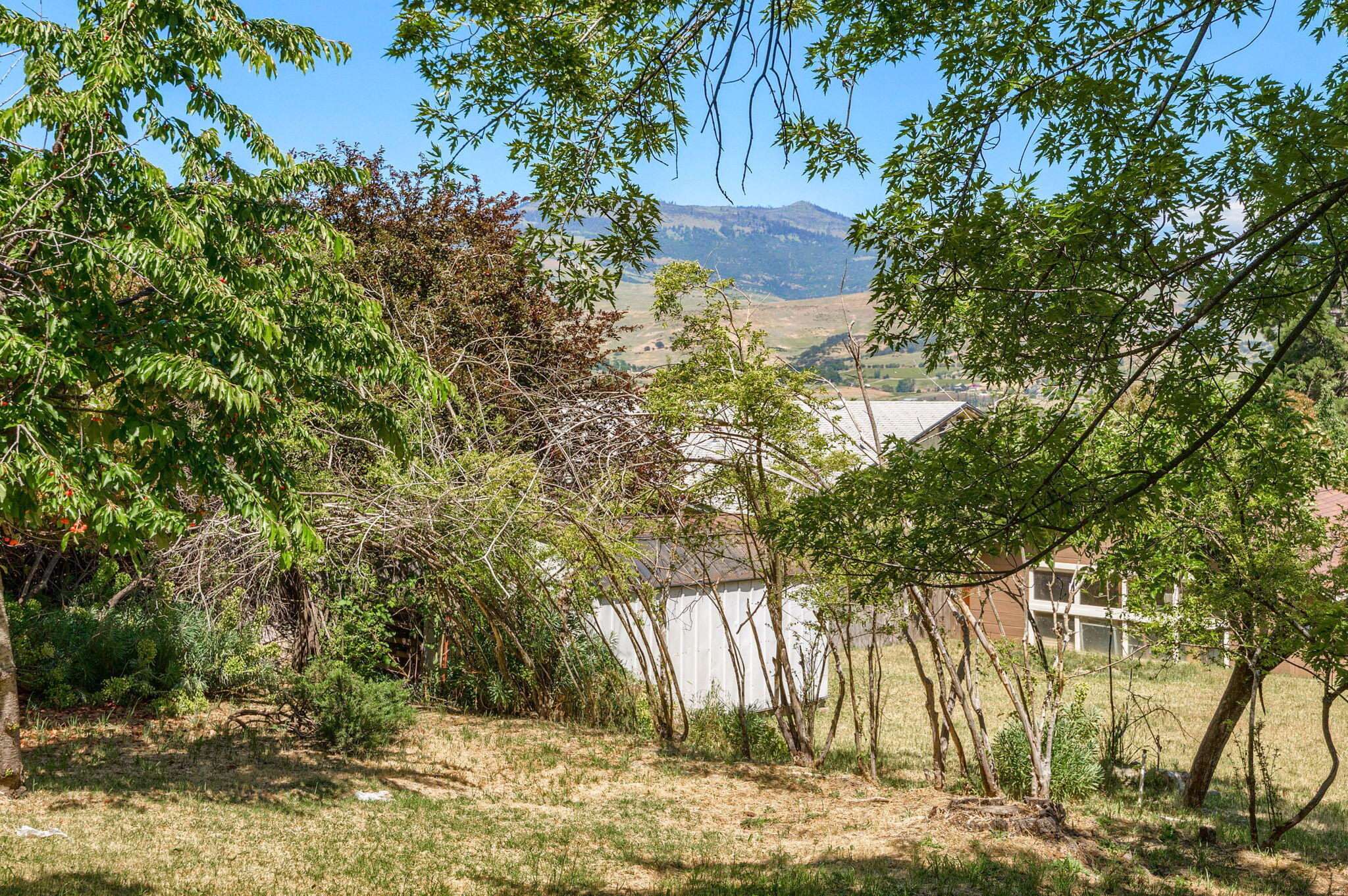 Maple Subdivision - Residential