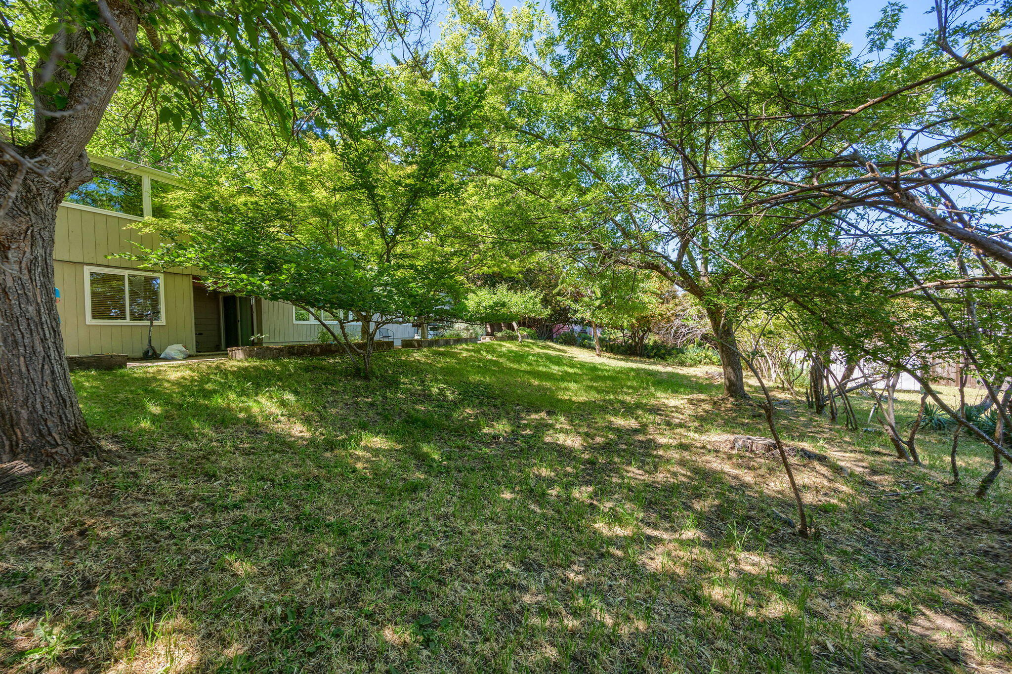 Maple Subdivision - Residential