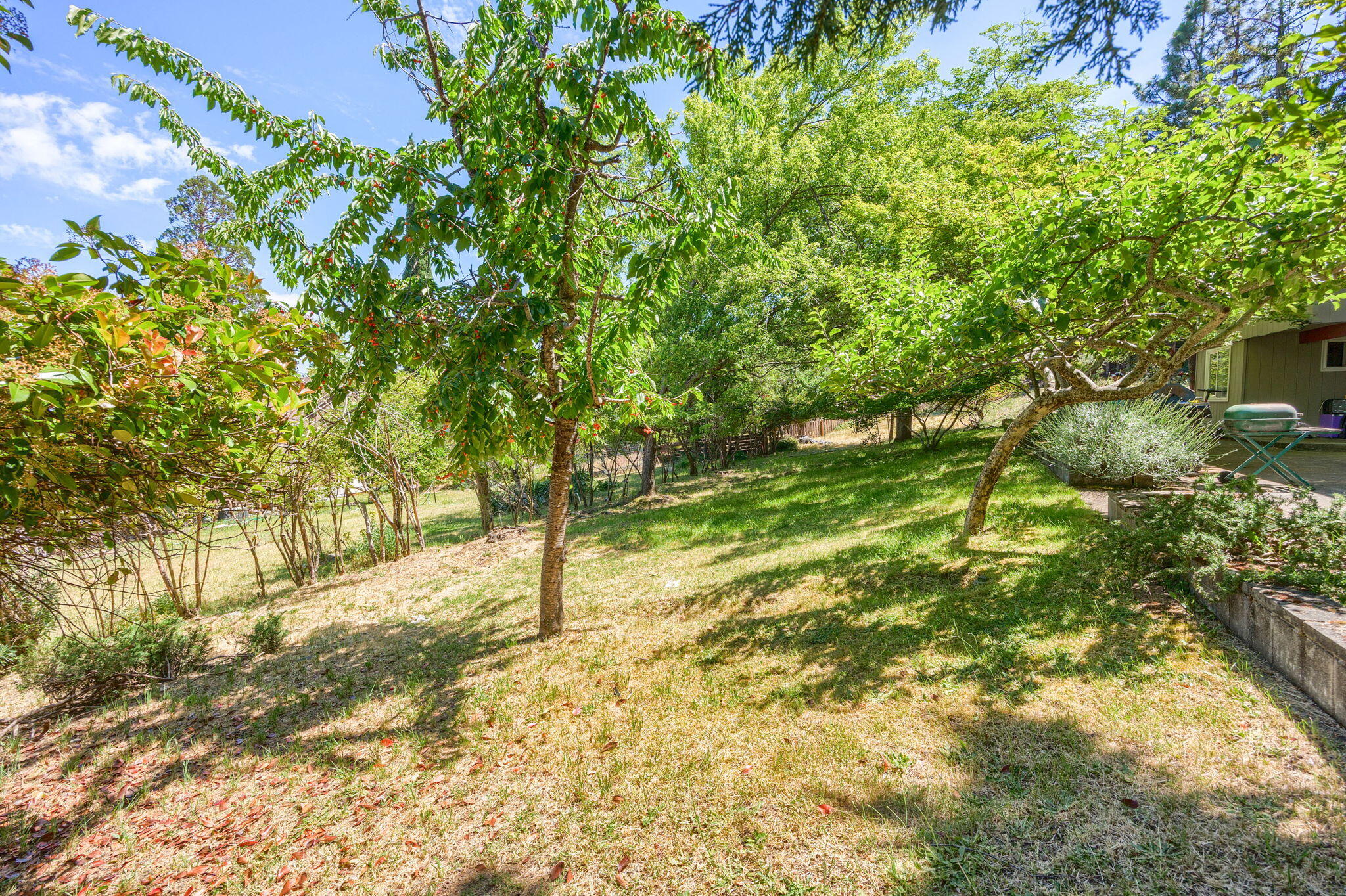 Maple Subdivision - Residential