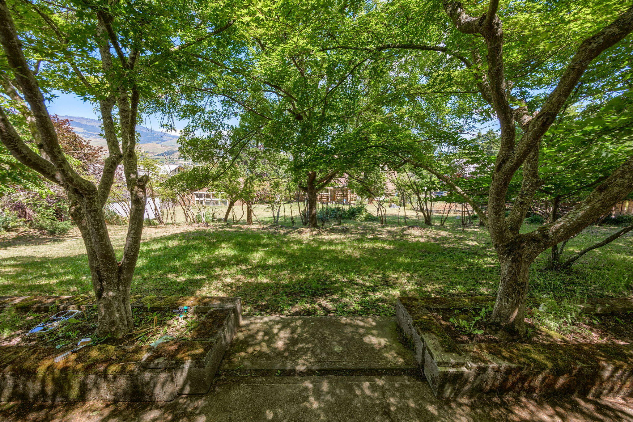 Maple Subdivision - Residential