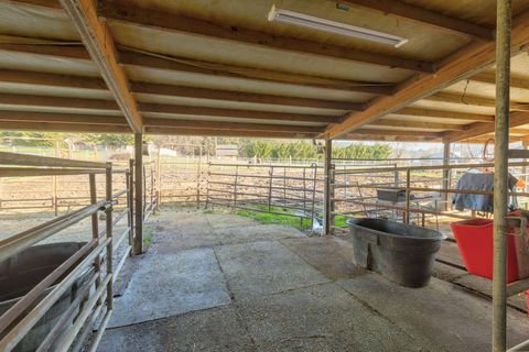 Tiny photo for 3990 Jerome Prairie Road, Grants Pass, OR 97527 (MLS # 220214216)