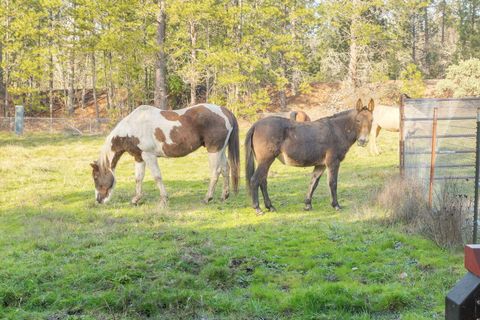 Tiny photo for 3990 Jerome Prairie Road, Grants Pass, OR 97527 (MLS # 220214216)