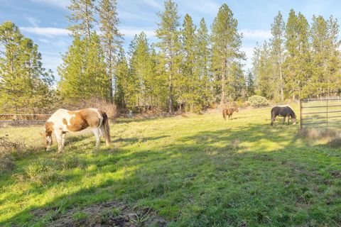 Tiny photo for 3990 Jerome Prairie Road, Grants Pass, OR 97527 (MLS # 220214216)