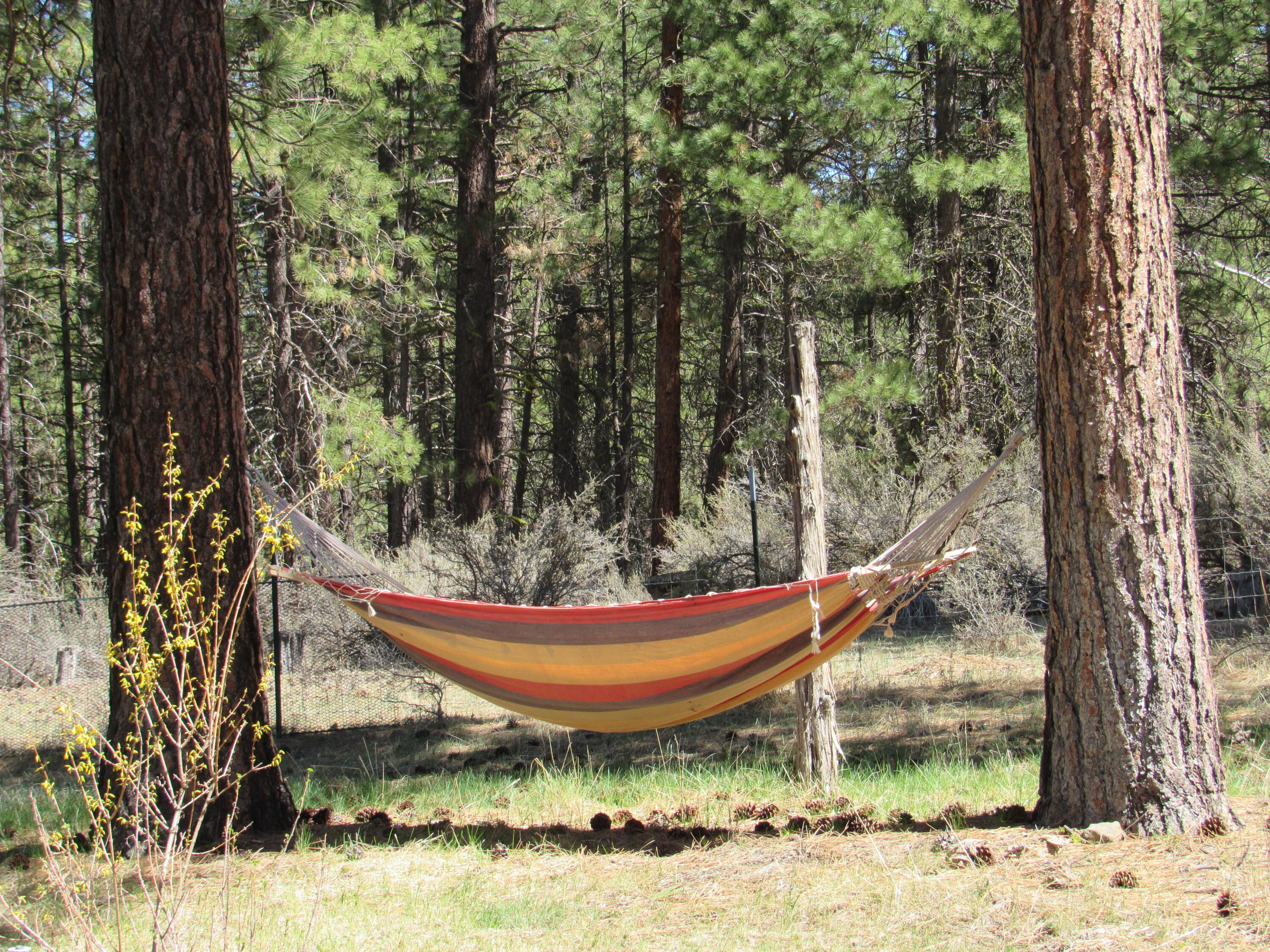 Chiloquin Acres - Residential