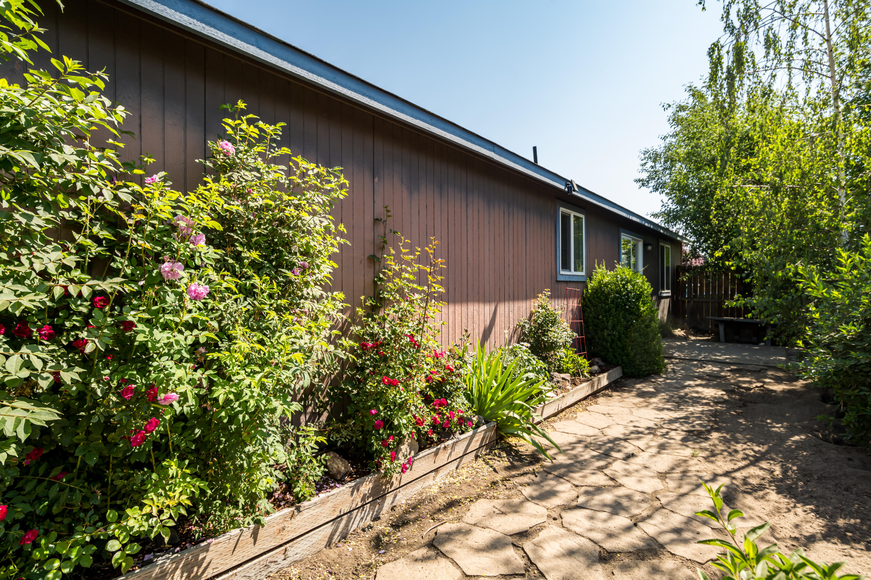 Vista Dorado - Residential