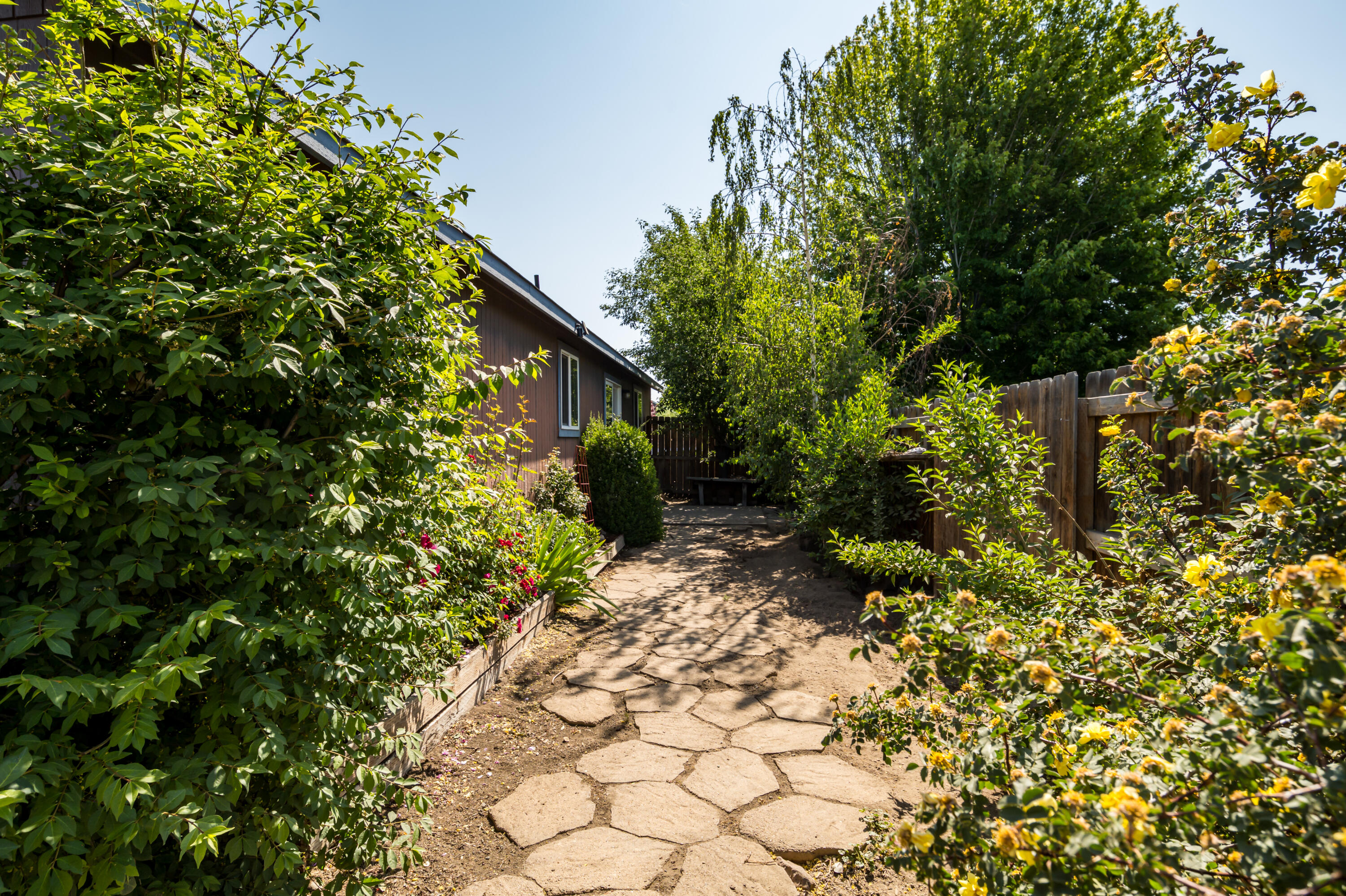 Vista Dorado - Residential