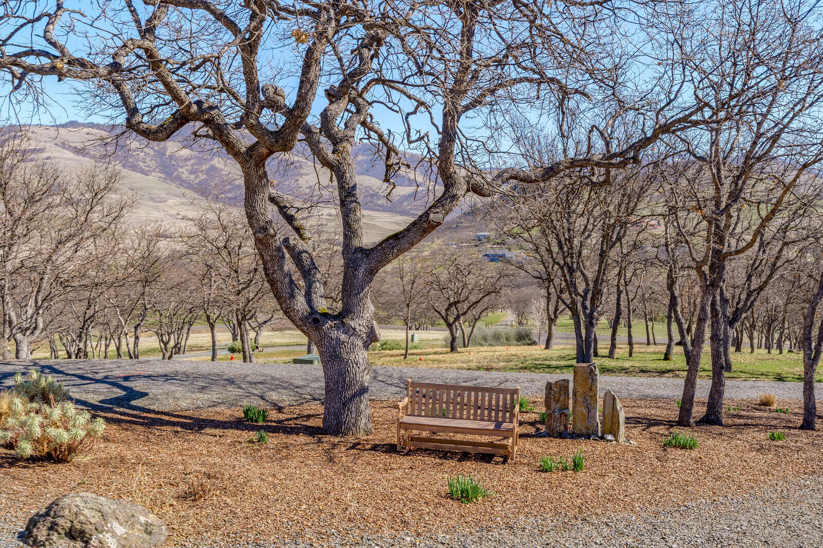 Ryder Subdivision - Residential