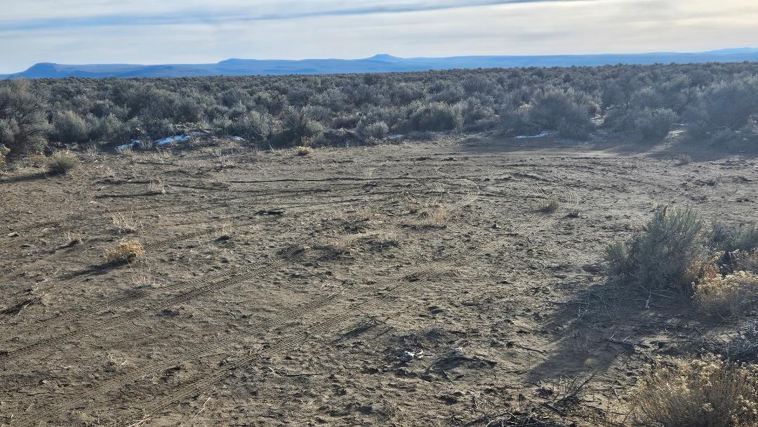 Off Fossil Lake Road TL 1000